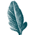 icon box image