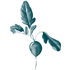 icon box image